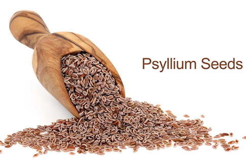Pysllium Seeds